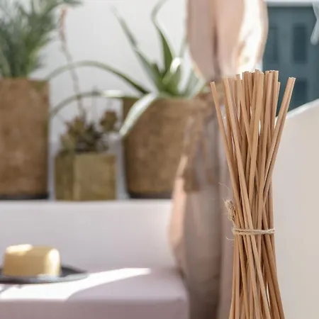 Aegean White Apartment Naxos City